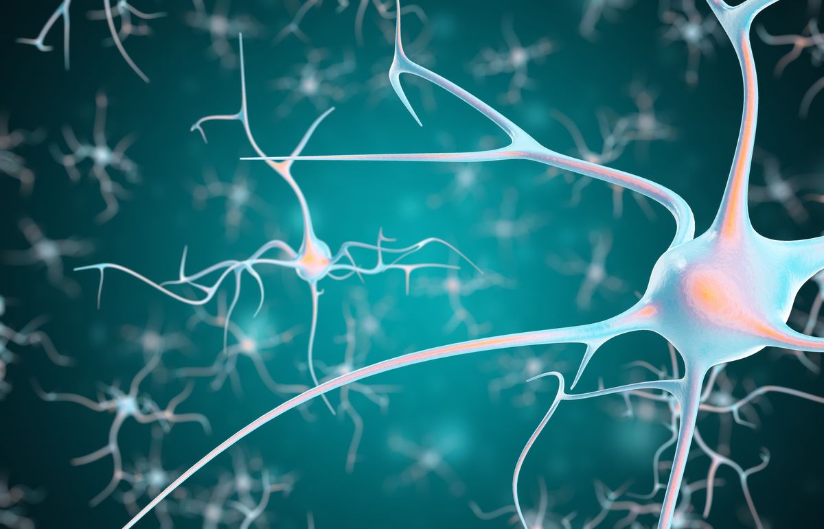 enlarge the image: Dreidimensionale Ansicht von Nervenzellen im Gehirn