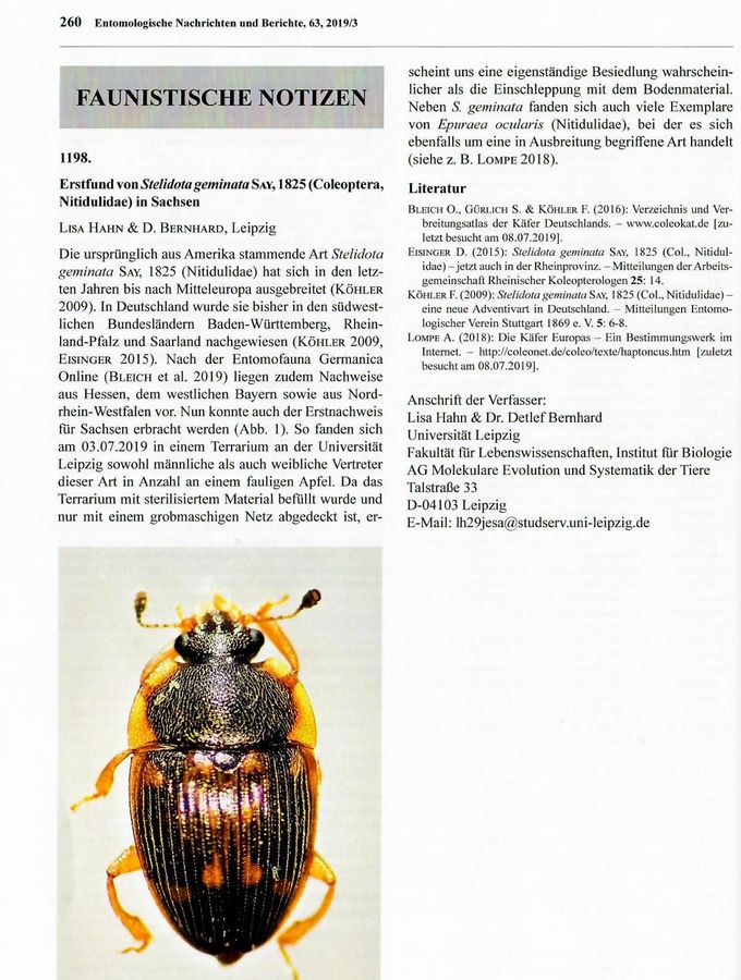 zur Vergrößerungsansicht des Bildes: Entomologische Nachrichten und Berichte. 2019 Mar;62:260.