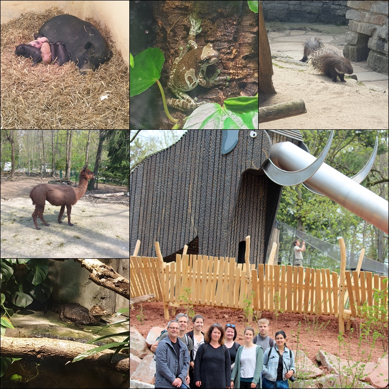 zur Vergrößerungsansicht des Bildes: Eindrücke aus dem Tierpark Chemnitz