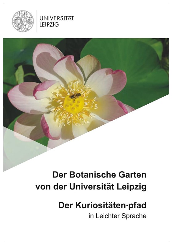 zur Vergrößerungsansicht des Bildes: Titelbild der Broschüre zum Kuriositätenpfad in Leichter Sprache, erschienen 2023.