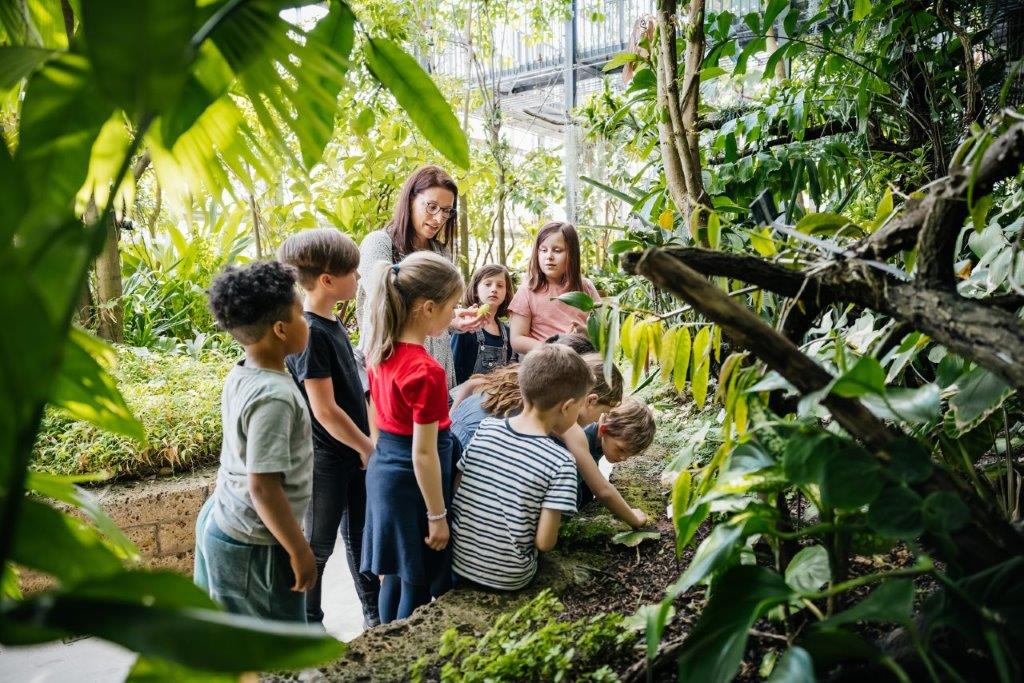 zur Vergrößerungsansicht des Bildes: Schüler:innen entdecken die tropische Pflanzenwelt. Foto: feinesbild.de