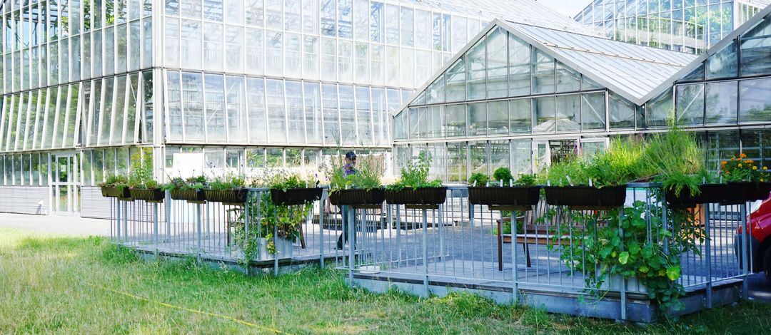 Universität Leipzig Aktuelles & Veranstaltungen
