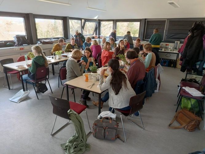 Arbeitstreffen der AG Bildung des Verbands Botanischer Gärten e. V. im Botanischen Garten der Universität Leipzig 2025, Foto: Rolf A. Engelmann