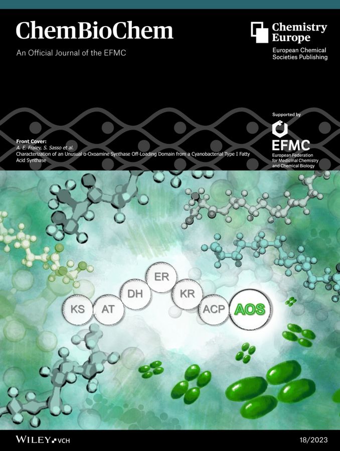 zur Vergrößerungsansicht des Bildes: Titelblatt der Zeitschrift ChemBioChem mit dem Artikel: A.E. Fraley, S. Sasso et al., 2023
