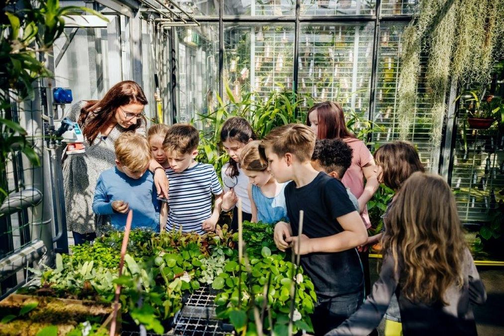 zur Vergrößerungsansicht des Bildes: Schüler:innengruppe auf Erkundungstour in den Anzuchtgewächshäusern. Foto: feinesbild.de