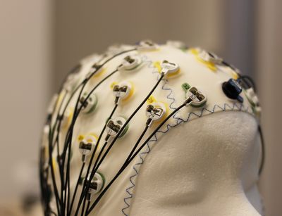 Foto von einer EEG-Haube mit Elektroden auf einem Styroporkopf.