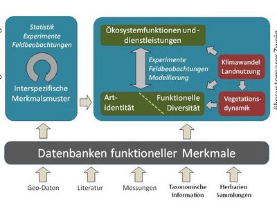 Diagram AG wirth/weigelt research topics