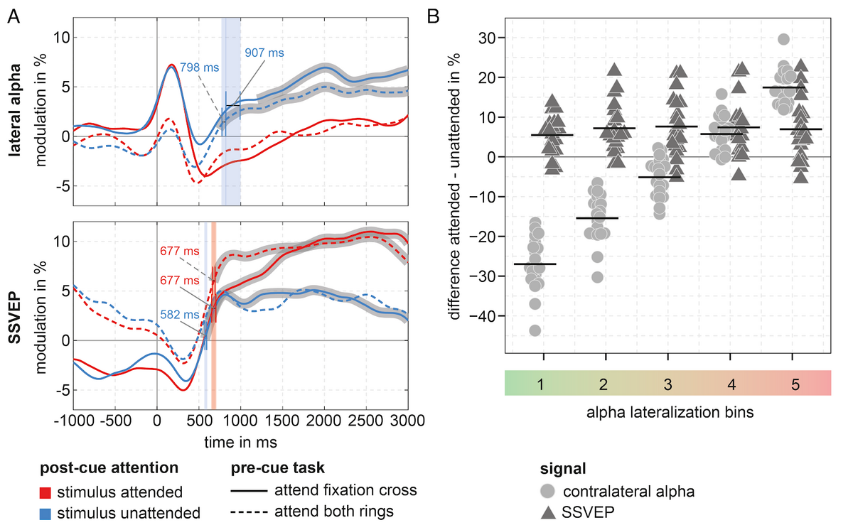 The figure illustrates the relationship between SSVEP and alpha-band modulations. On the left average time courses of alpha-band and SSVEPs modulations across the trials are plotted starting 1000 ms before the attentional cue to 3000ms after the attentional cue. Single lines represent SSVEP- and alpha-amplitude curves contralateral to the attended (red) and unattended (blue) stimulus for trials in which either both rings (dashed line) or the fixation cross (solid line) had to be attended. For lateral alpha-amplitudes all curves start off at the same level before the cue. After the cue alpha-band activity contralateral to the unattended stimulus increases beyond pre-cue level at around 800 to 900 ms while it stays at the pre-cue level contralateral to the attended stimulus. During the pre-cue interval, SSVEP amplitudes are higher when both stimuli are attended as compared to when the fixation cross is attended. After the cue SSVEP-amplitudes rise for the attended stimulus as well as the unattended stimulus when the fixation cross was attended prior to the cue after around 600 ms. On the right hand side the attentional modulations of alpha-band and SSVEP amplitudes are shown for subsets of trials. Trials were sorted and binned according to the size of the pre-to post-cue alpha lateralization. Bin 1 is made up of trials that showed the largest positive ratio between alpha contralateral to the unattended vs attended stimulus while bin 5 is made up of trials with the smallest or even a negative ratio. If the attentional modulation of SSVEP amplitudes was related to trial-by-trial changes in alpha-lateralization the difference of SSVEP modulations for the attended and unattended stimulus should vary across alpha-lateralization bins. This is, however, not the case and across the alpha lateralization bins, the attentional modulation of the SSVEP amplitudes is comparable and in the range of 6 to 8 %.