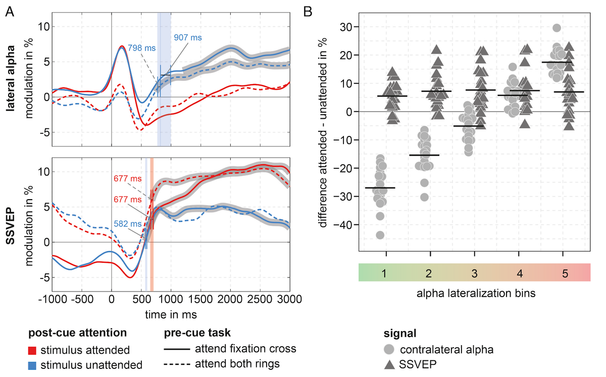 enlarge the image: The figure illustrates the relationship between SSVEP and alpha-band modulations. On the left average time courses of alpha-band and SSVEPs modulations across the trials are plotted starting 1000 ms before the attentional cue to 3000ms after the attentional cue. Single lines represent SSVEP- and alpha-amplitude curves contralateral to the attended (red) and unattended (blue) stimulus for trials in which either both rings (dashed line) or the fixation cross (solid line) had to be attended. For lateral alpha-amplitudes all curves start off at the same level before the cue. After the cue alpha-band activity contralateral to the unattended stimulus increases beyond pre-cue level at around 800 to 900 ms while it stays at the pre-cue level contralateral to the attended stimulus. During the pre-cue interval, SSVEP amplitudes are higher when both stimuli are attended as compared to when the fixation cross is attended. After the cue SSVEP-amplitudes rise for the attended stimulus as well as the unattended stimulus when the fixation cross was attended prior to the cue after around 600 ms. On the right hand side the attentional modulations of alpha-band and SSVEP amplitudes are shown for subsets of trials. Trials were sorted and binned according to the size of the pre-to post-cue alpha lateralization. Bin 1 is made up of trials that showed the largest positive ratio between alpha contralateral to the unattended vs attended stimulus while bin 5 is made up of trials with the smallest or even a negative ratio. If the attentional modulation of SSVEP amplitudes was related to trial-by-trial changes in alpha-lateralization the difference of SSVEP modulations for the attended and unattended stimulus should vary across alpha-lateralization bins. This is, however, not the case and across the alpha lateralization bins, the attentional modulation of the SSVEP amplitudes is comparable and in the range of 6 to 8 %.