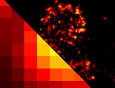 The image shows the distribution of Bruchpilot molecules via conventional and super-resolution dSTORM microscopy. 