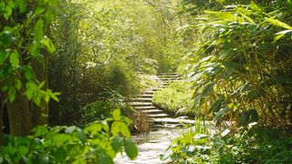 Blick auf den kleinen Teich und die kleine Treppe umgeben von Bambus.