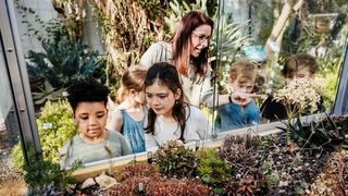 Schüler:innen lernen die Vielfalt der Sukkulenten kennen. Foto: feinesbild.de