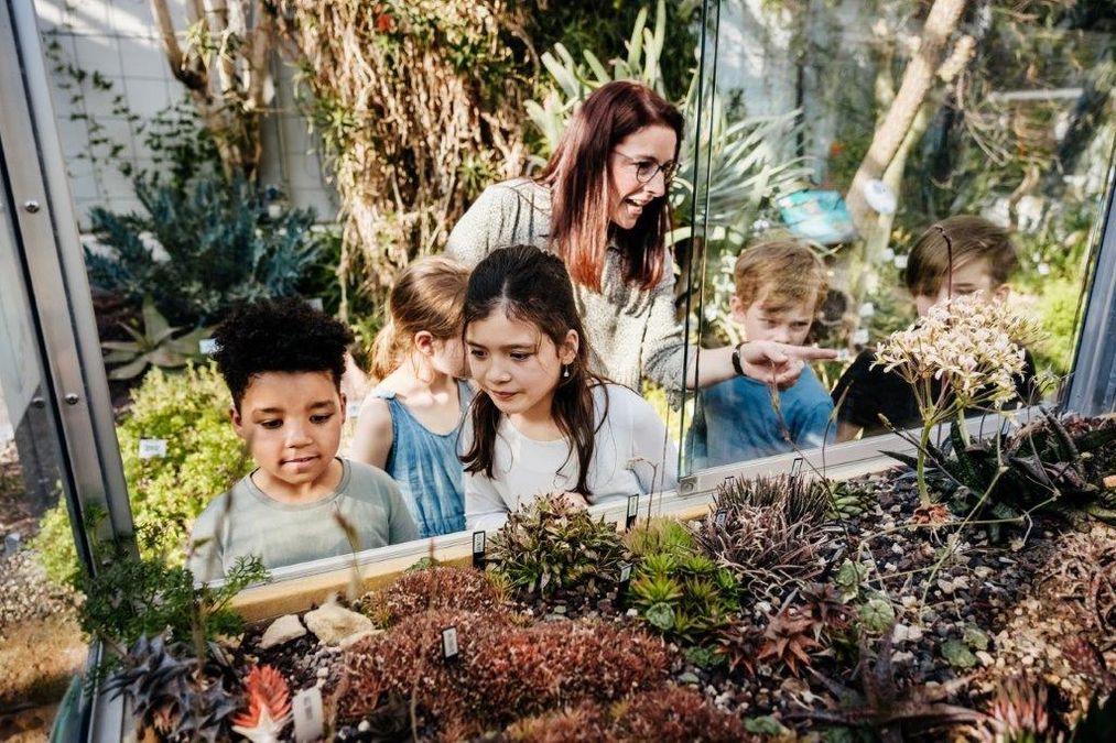 zur Vergrößerungsansicht des Bildes: Schüler:innen lernen die Vielfalt der Sukkulenten kennen. Foto: feinesbild.de