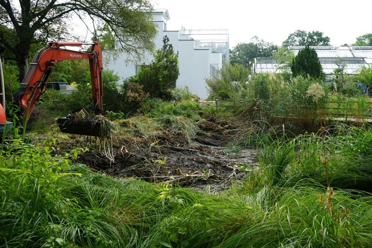 Teichbaustelle im Botanischen Garten