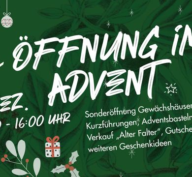 Adventsverkauf_09122023 Öffnung im Advent, Bild: Botanischer Garten Leipzig