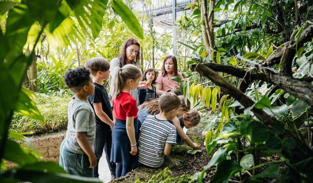 Schüler:innen entdecken die tropische Pflanzenwelt. Foto: feinesbild.de