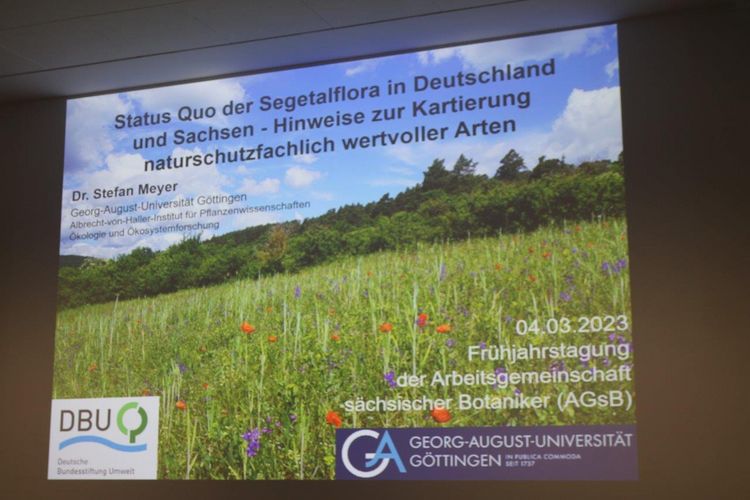 Vortrag von Dr. Stefan Meyer bei Frühjahrstagung der AGsB, Foto: Matthias Breitfeld