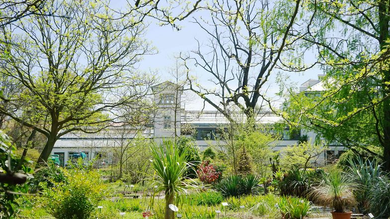 Das Freigelände des Botanischen Gartens im zarten Frühlingsgrün und Sonnenschein. Im Hintergrund ist der Gewächshauskomplex zu sehen.