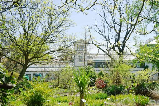 Das Freigelände des Botanischen Gartens im zarten Frühlingsgrün und Sonnenschein. Im Hintergrund ist der Gewächshauskomplex zu sehen.