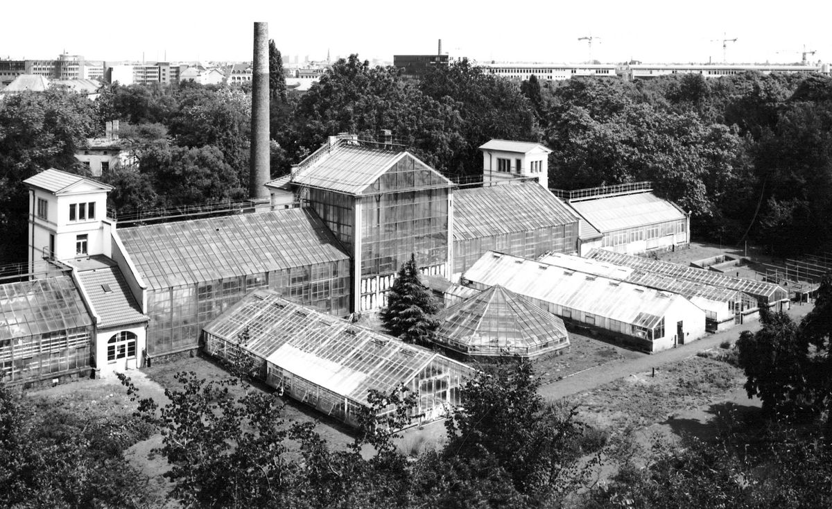zur Vergrößerungsansicht des Bildes: Schwarz-weiß Fotoaufnahme von oben aus der Luft auf die alten Gewächshäuser.