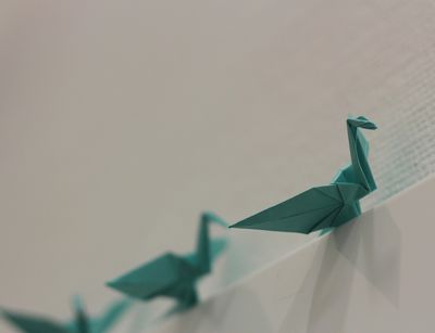 Origami cranes