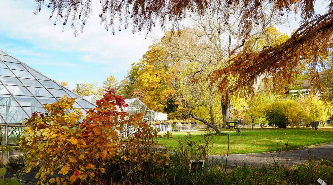 Universität Leipzig Botanischer Garten