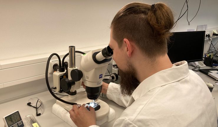 Mitarbeiter des Instituts für Biologie am Mikroskop im Labor.