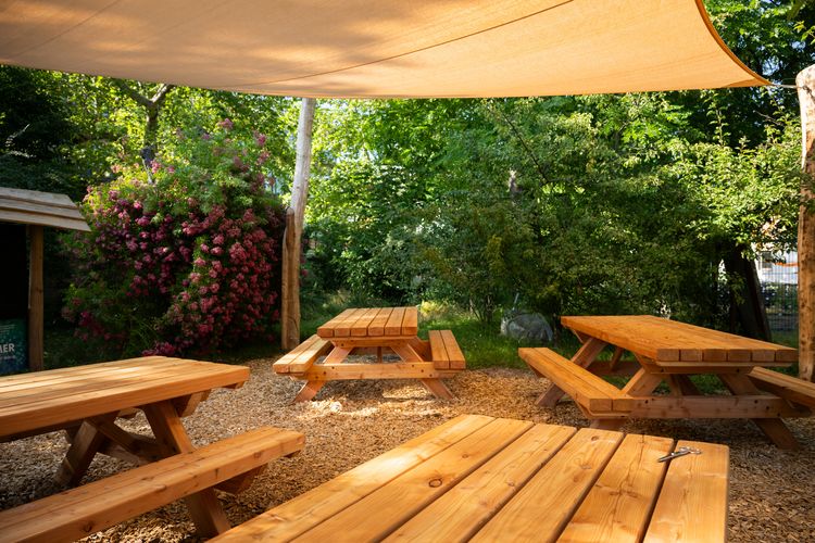 Neuer Lernort im Freien in Leipzig: Das 'Grüne Klassenzimmer' im Botanischen Garten der Universität Leipzig. Foto: Eric Kemnitz