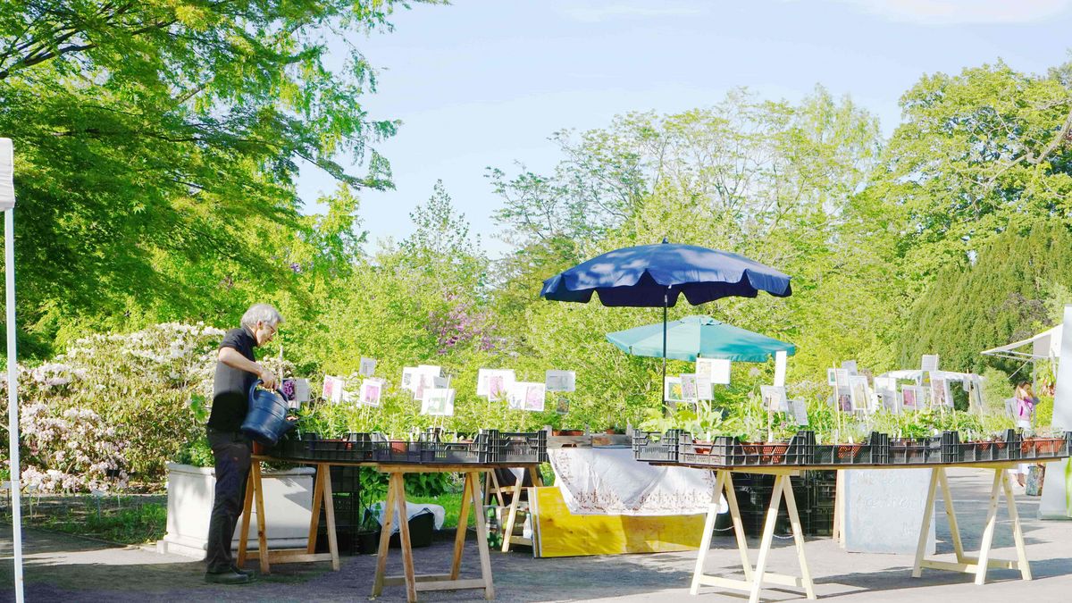 zur Vergrößerungsansicht des Bildes: Pflanzenstände mit einer großen Auswahl an unterschiedlichen Pflanzenarten auf dem Leipziger Pflanzenmarkt.