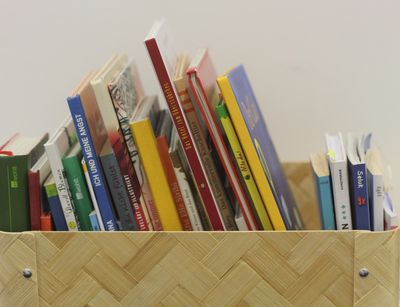 Photo of a display with various books.