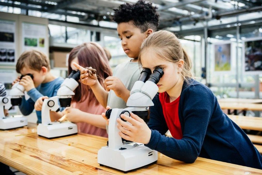 zur Vergrößerungsansicht des Bildes: Schüler:innen erkunden pflanzlische Strukturen mit einem Binokular. Foto: feinesbild.de