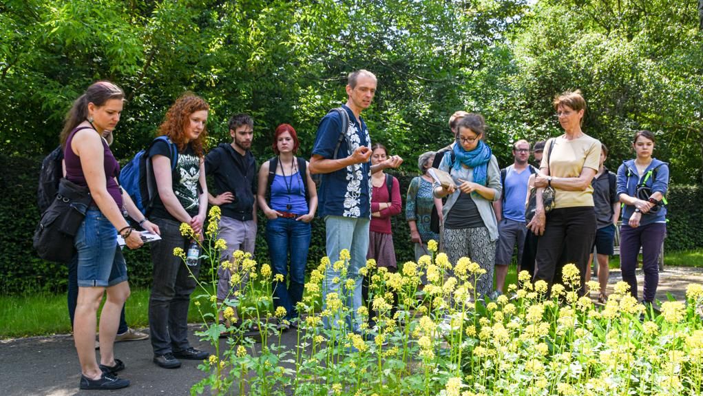 zur Vergrößerungsansicht des Bildes: Führung durch dden Apothekergarten mit Dr. Martin Freiberg, Foto: Wolfgang Teschner