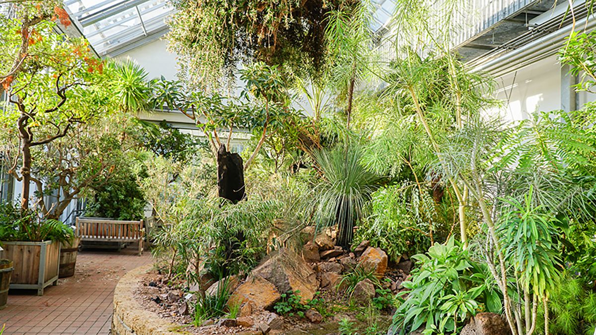 zur Vergrößerungsansicht des Bildes: Das Mediterranhaus im Botanischen Garten Leipzig. Foto: Botanischer Garten