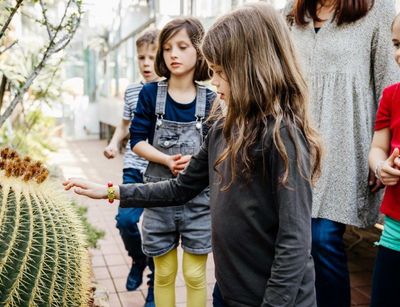 Schüler:innen sind von den riesigen Dornen der Kakteen beeindruckt. Foto: feinesbild.de