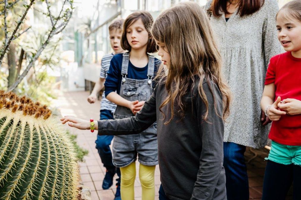 zur Vergrößerungsansicht des Bildes: Schüler:innen sind von den riesigen Dornen der Kakteen beeindruckt. Foto: feinesbild.de