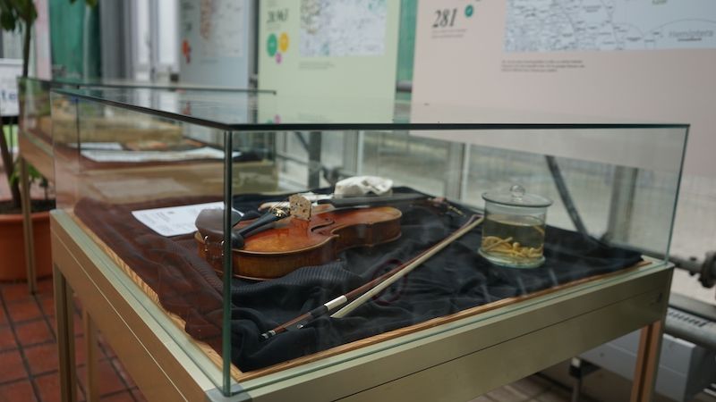 zur Vergrößerungsansicht des Bildes: Vitrine mit Anschauungsmaterial in der LifeGate Leipzig Ausstellung