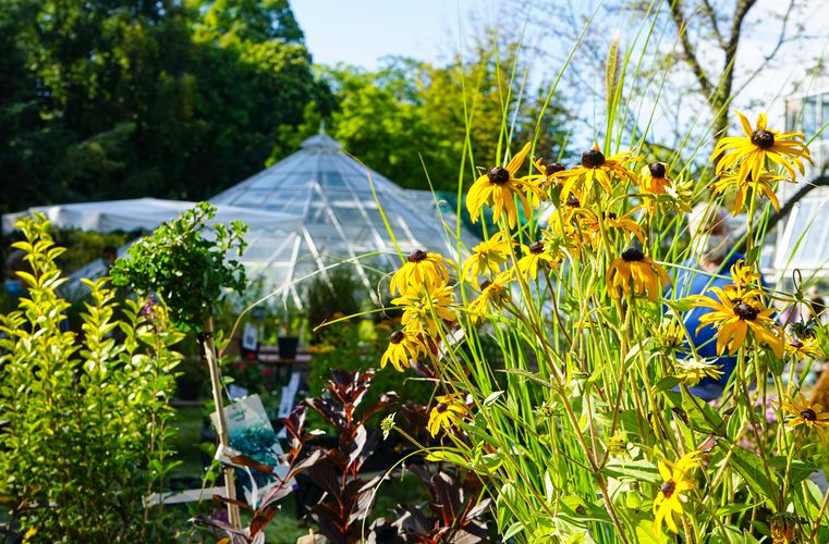 Herbstpflanzenmarkt im Botanischen Garten der Universität Leipzig