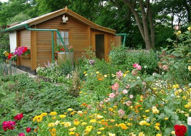 Biodiverser Kleingarten. Biodiverser Kleingarten.