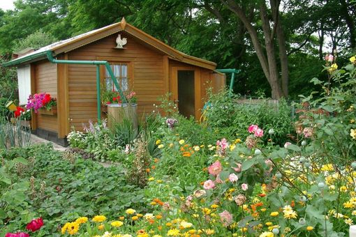 Biodiverser Kleingarten.
