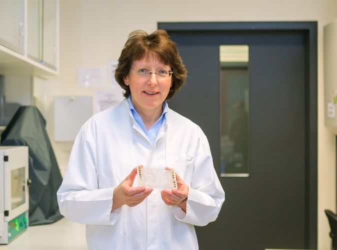 Untersucht Nervenzellen auf Biochips: Prof. Dr. Andrea Robitzki