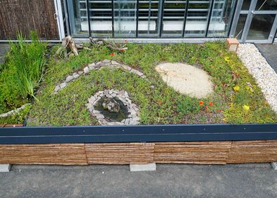 Die neue Station auf dem Außengelände des Botanischen Gartens zeigt, wie ein Gründach gestaltet werden kann.