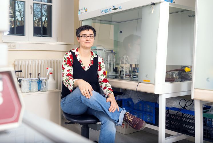 Auf dem Bild ist Prof. Dr. Christine Beemelmanns zu sehen.