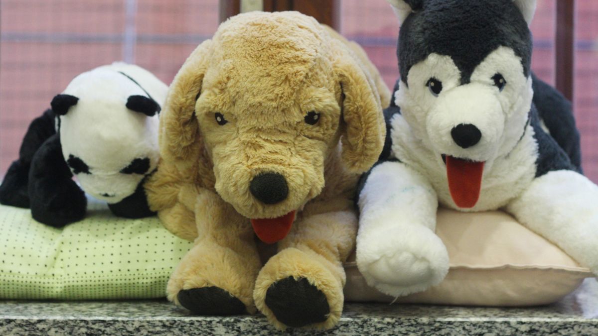 enlarge the image: Three cuddly toys on a windowsill