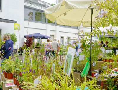 Pflanzenstände auf dem Leipziger Pflanzenmarkt. 