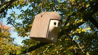 Nistkasten im Botanischen Garten, Foto: Rolf A. Engelmann