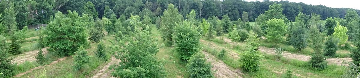 enlarge the image: Panaroma view from the Arboretum ARBOfun in Großpösna