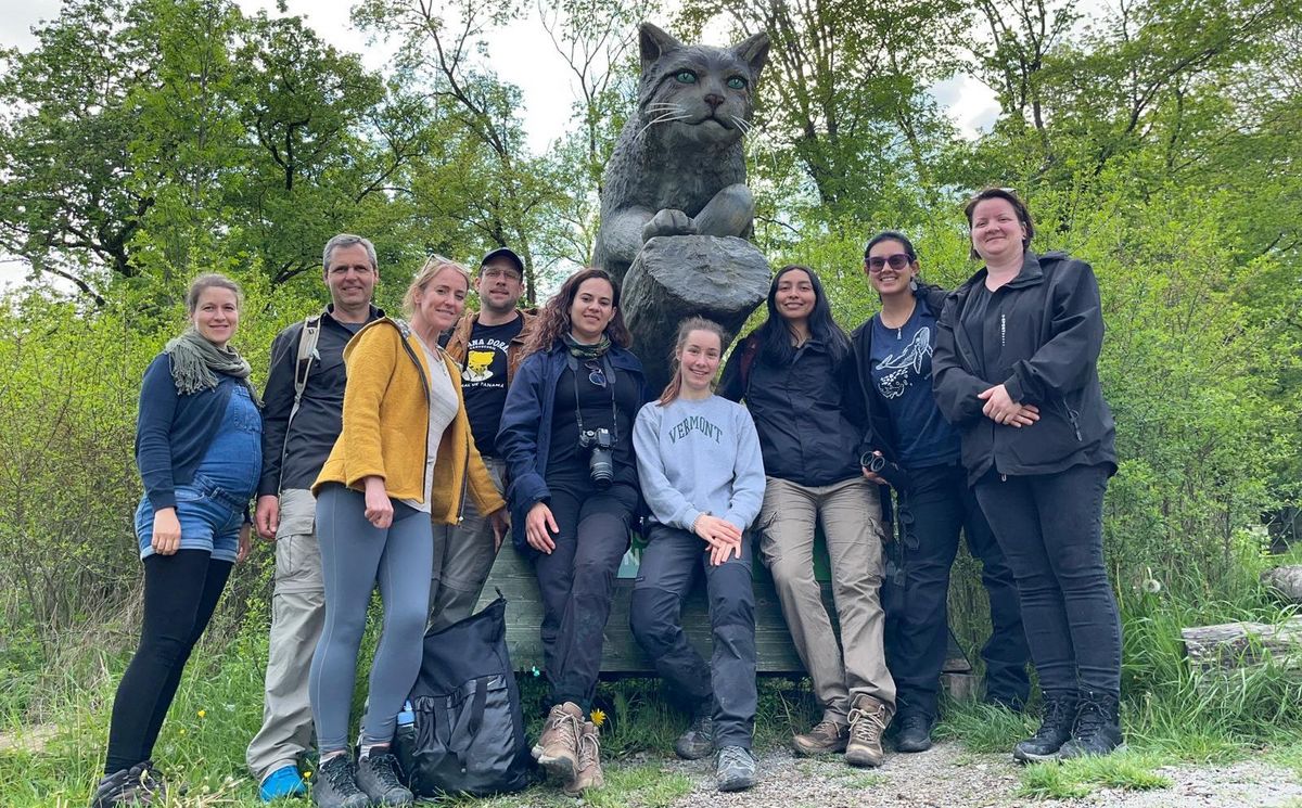 zur Vergrößerungsansicht des Bildes: Teambildender Ausflug in den Nationalpark Hainich, Bild: Franziska Franke