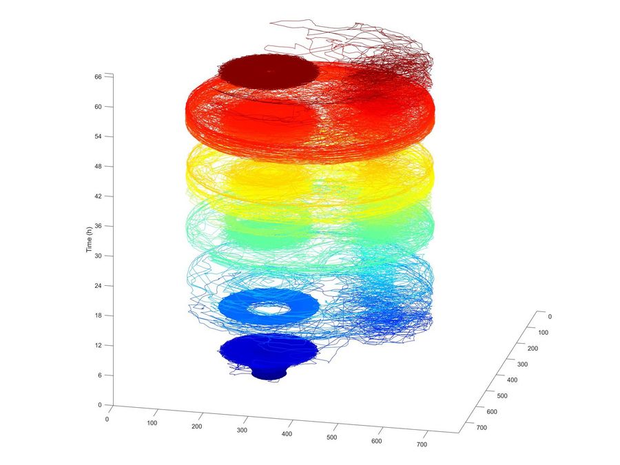 enlarge the image: Fly activity rendered in MATLAB (Bild: W. Huetteroth)