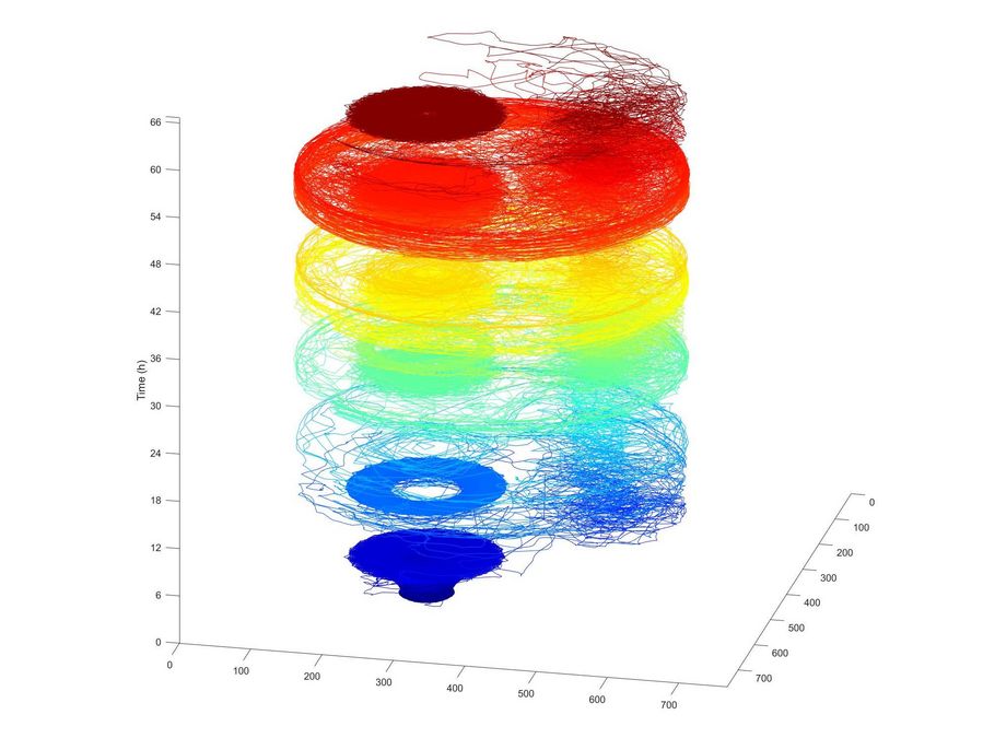 zur Vergrößerungsansicht des Bildes: Fliegenaktivitätsspur, gerendert in MATLAB (Bild: W. Huetteroth)