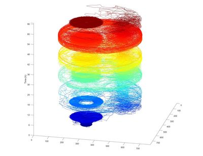 Fliegenaktivitätsspur, gerendert in MATLAB (Bild: W. Huetteroth)